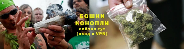 амф Новозыбков
