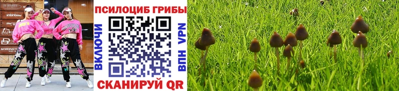 магазин    Мензелинск  Псилоцибиновые грибы мухоморы 